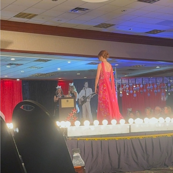 Hot Pink prom/ pageant gown - Picture 3 of 3